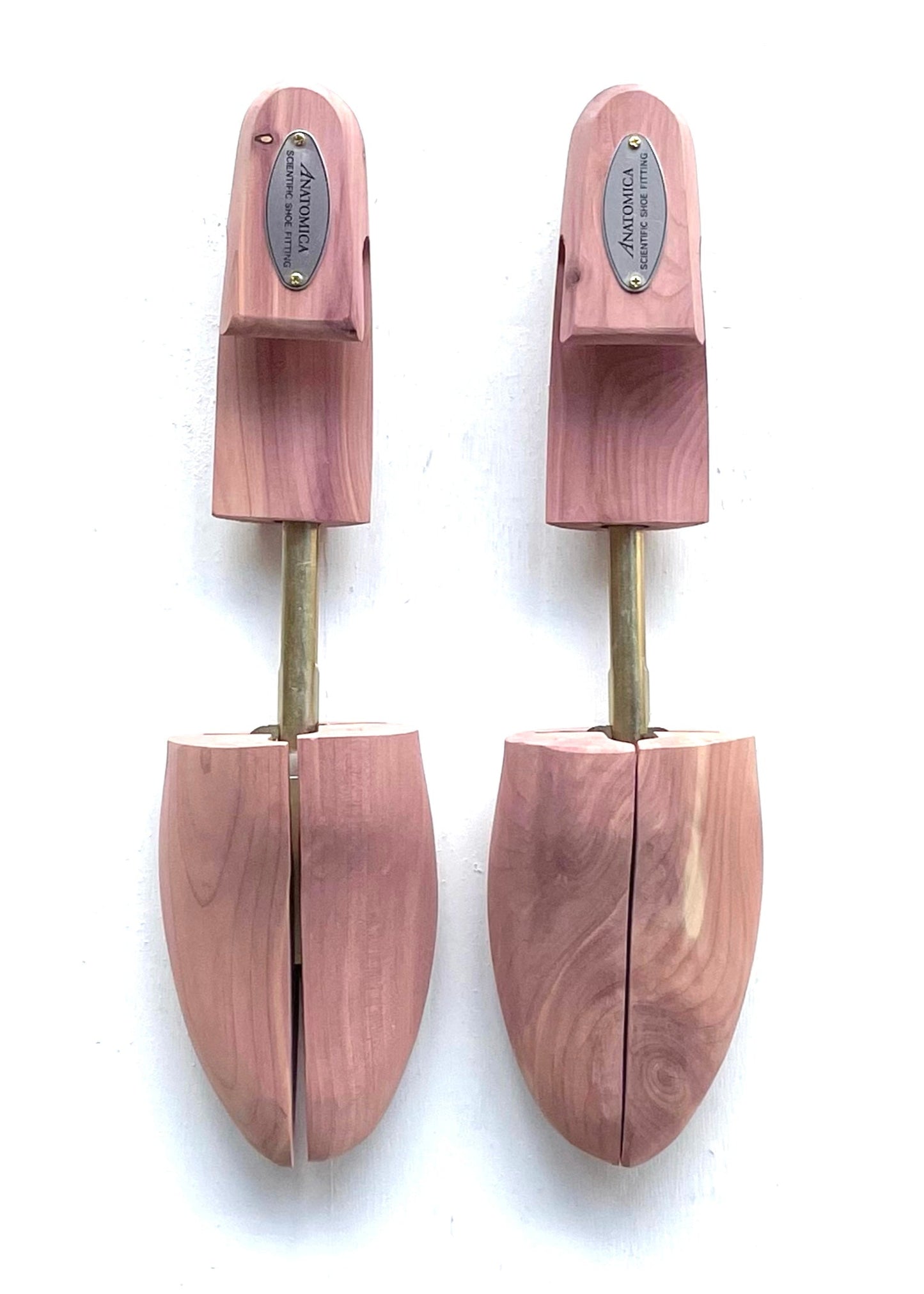SHOE KEEPER