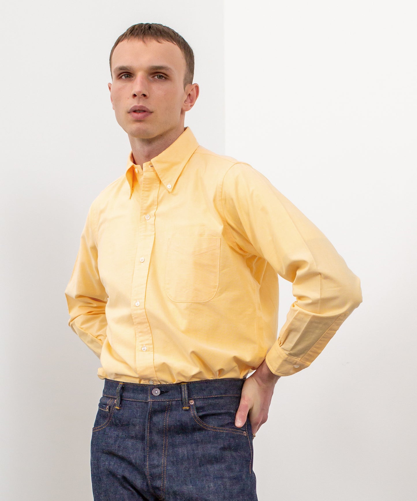 BD SHIRT / IDEAL OXFORD MAIZE