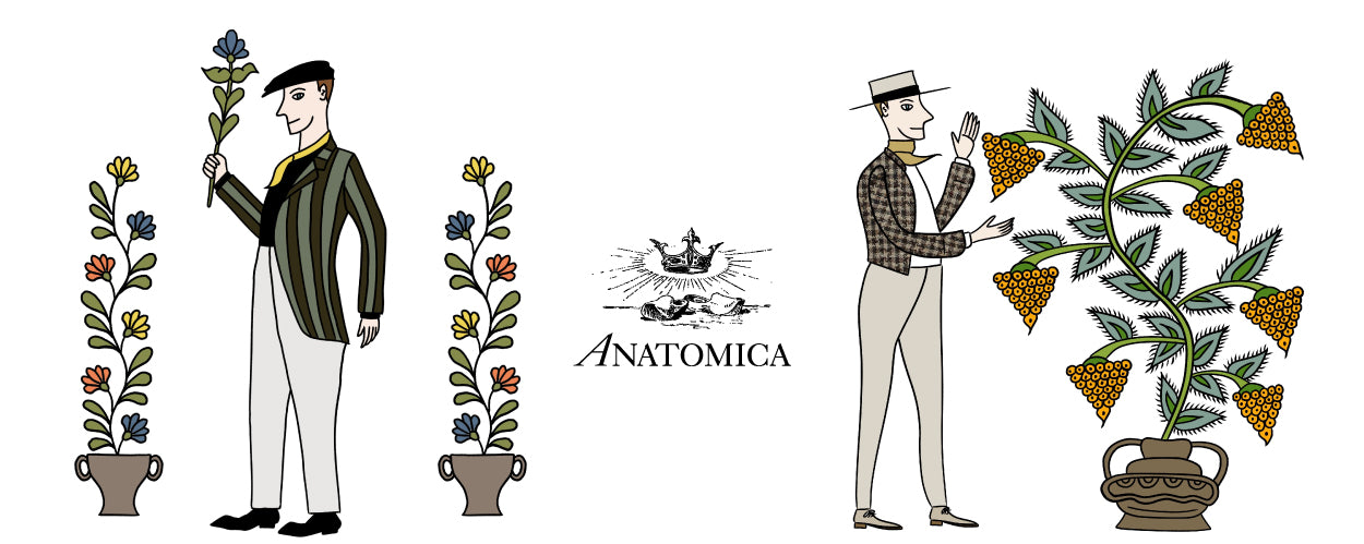 ANATOMICA OFFICIAL ONLINE STORE | アナトミカ公式通販サイト